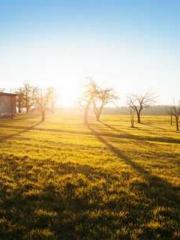 Grave Robbing: Openi