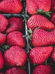 Shen Ning Ran Bao Ji