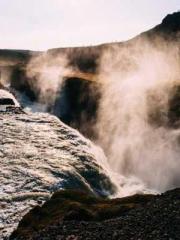 Saintly Gate Venerab