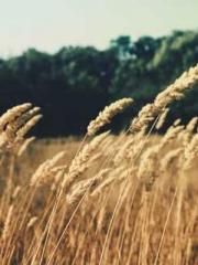 One person opens the