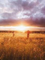 One Night of Indulge