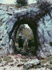 Grave Robbing: Openi