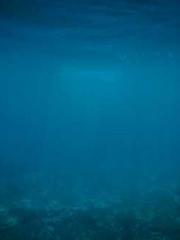 The Beloved Physicia