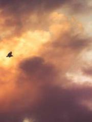 Cultivating My Empre